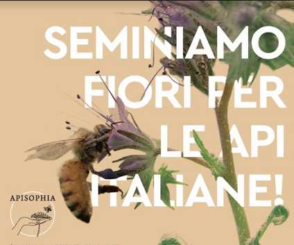 Avvio campagna “Seminiamo fiori per le api italiane”