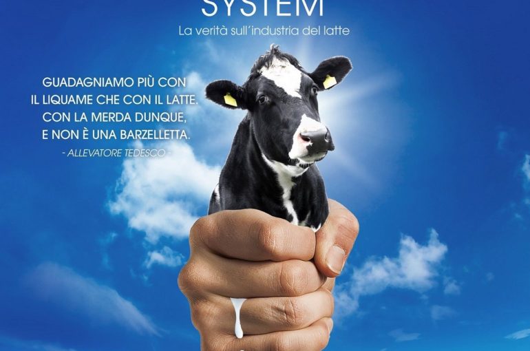 Proiezione The milk system a Gorizia
