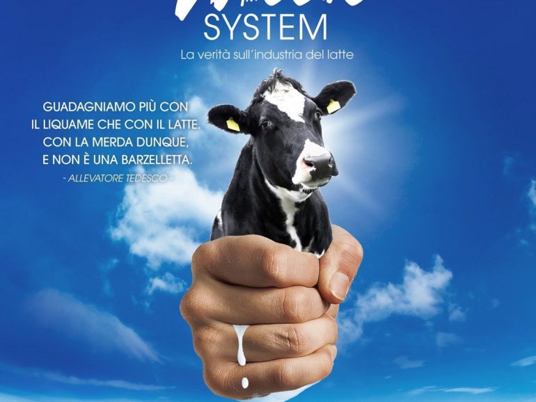 Proiezione The milk system a Gorizia