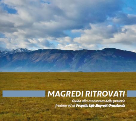 Magredi ritrovati: convegno finale progetto Life magredi grasslands