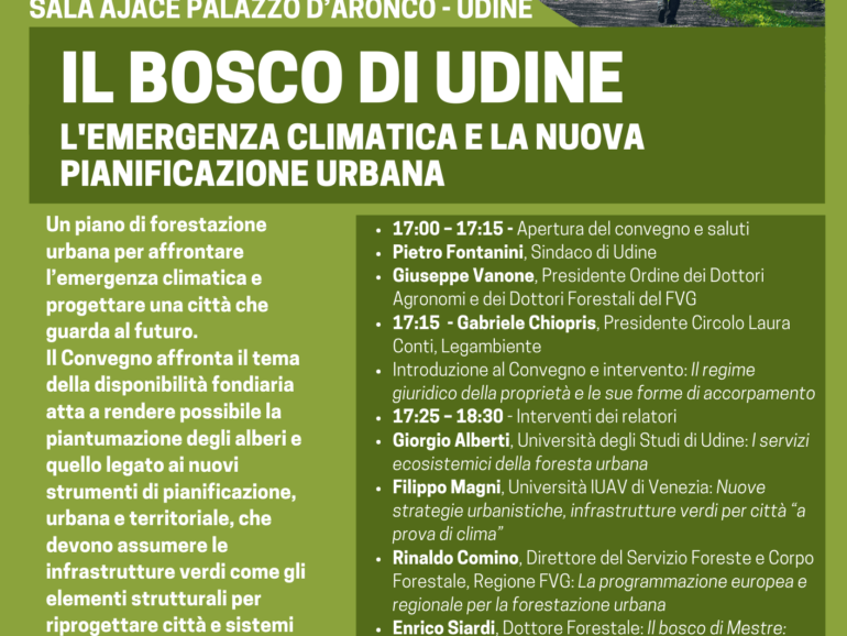 Il bosco di Udine: un convegno sulla forestazione urbana