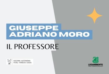 Un Fiume di Storie: Il professore