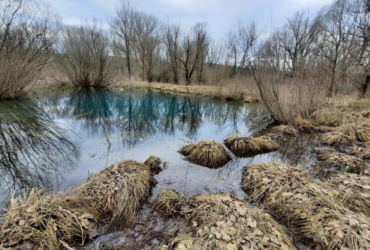 Escursione attorno e sopra al lago di Doberdò | 16 Marzo 2025