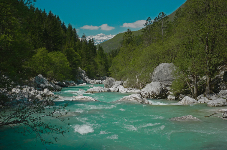 Giornata Internazionale delle zone umide: escursione sulle rive dell’Isonzo – Sabato 03/02/2024