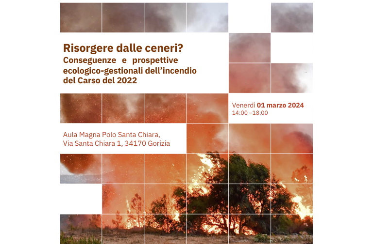 Convegno Risorgere dalle ceneri? Conseguenze e prospettive ecologico-gestionali dell’incendio del Carso del 2022