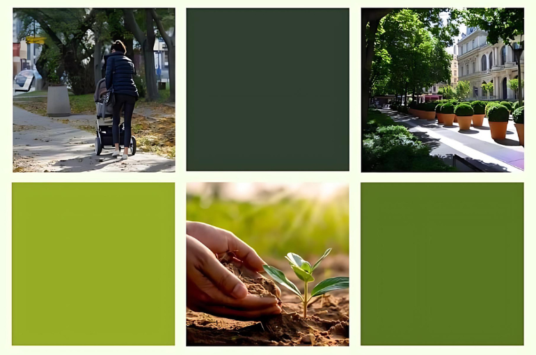 Convegno “Il verde urbano: cura e gestione”  |  San Vito al Tagliamento – Sabato 8 Giugno