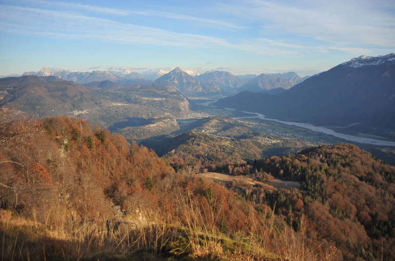 Impronte di Libertà