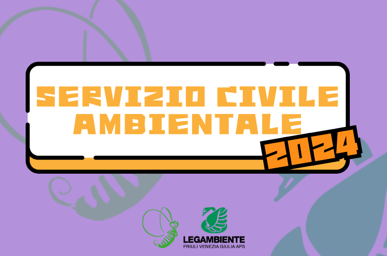 Bando “Dall’educazione Ambientale allo Sviluppo Sostenibile”