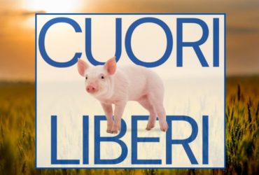 Cuori Liberi | Documentario – 14 Novembre 2024 – Kinemax GO