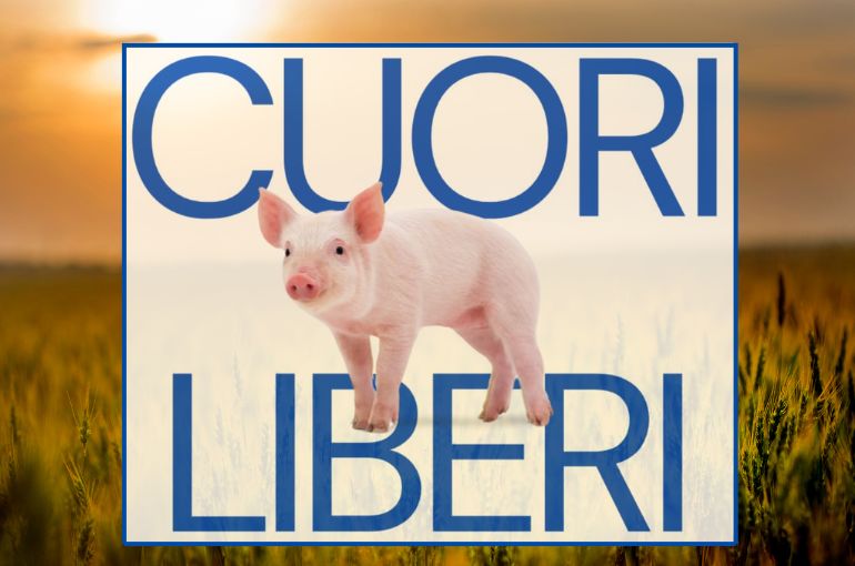 Cuori Liberi | Documentario – 14 Novembre 2024 – Kinemax GO