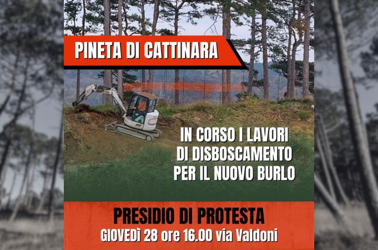 Presidio Pineta di Cattinara | 28 Novembre 2024