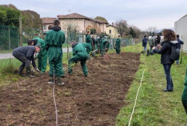 “Buone pratiche” nel parco Basaglia