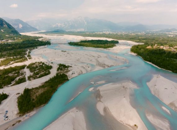 Tagliamento per sito