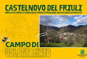 Campo di volontariato a Castelnovo del Friuli | Dal 15 al 27 Giugno 2025