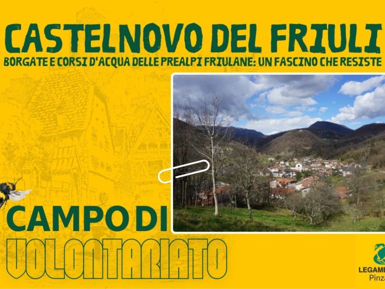 Campo di volontariato a Castelnovo del Friuli | Dal 15 al 27 Giugno 2025