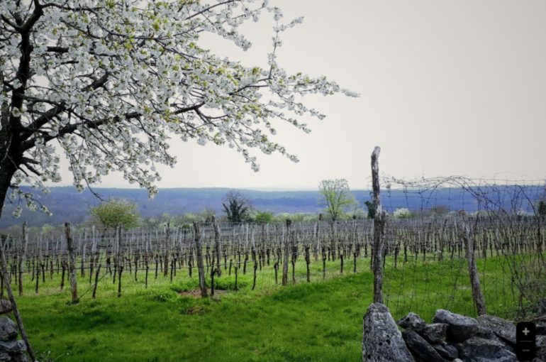 Escursione “Il sentiero della pietra – Pot kamna” | 11 Maggio 2025 – Trieste