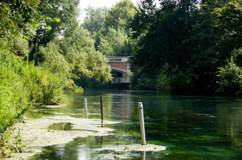 Esploriamo il Noncello! | 24 Maggio 2025 – Pordenone