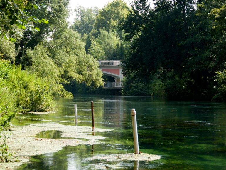Esploriamo il Noncello! | 24 Maggio 2025 – Pordenone