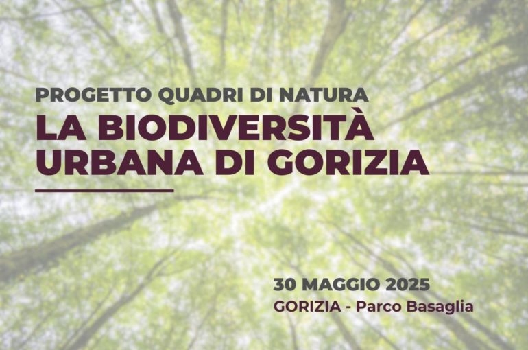 Quadri di natura | 30 Maggio 2025 – Gorizia, parco Basaglia
