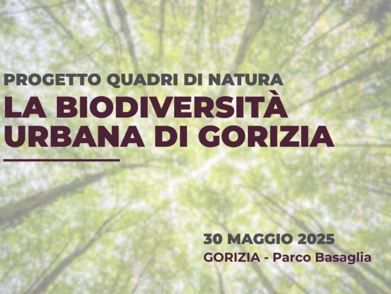 Quadri di natura | 30 Maggio 2025 – Gorizia, parco Basaglia