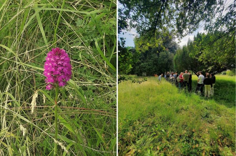 La biodiversità urbana di Gorizia – Il tesoro nascosto del Parco Basaglia