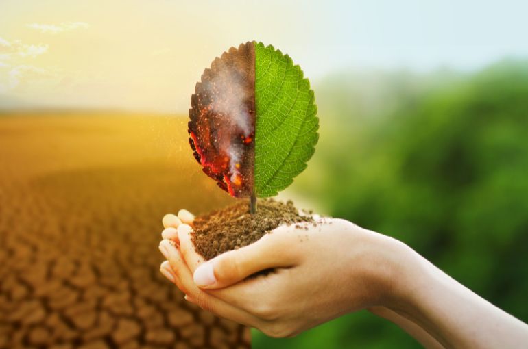 Legambiente: la crisi climatica va affrontata subito dalla politica e da ognuno di noi