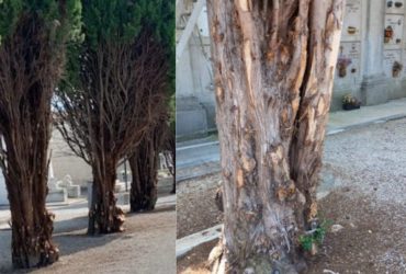 La strage continua ma l’alternativa c’è