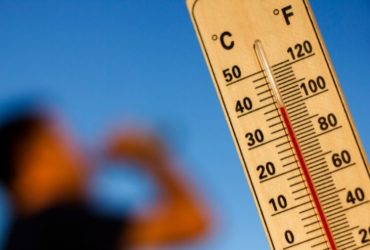 Isole di calore: costruiamo una città più verde e fresca!