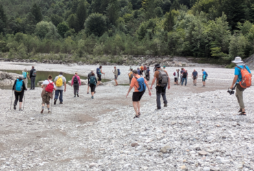 Free Tagliamento, 6ª Tappa: Il Fiume Silenzioso, Acqua per l’energia