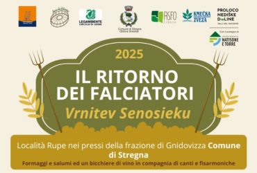 Il ritorno dei falciatori | 19 e 20 Luglio 2025 – loc. Rupe – fraz. Gnedovizza – Stregna