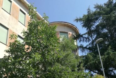 Ex Ospedale Civile: che fine farà il verde che lo circonda? Nessun lo sa!