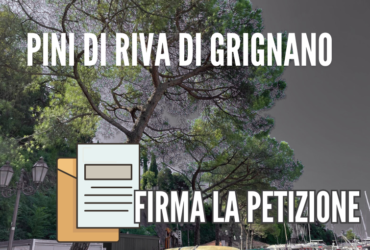 Il Circolo Legambiente Trieste vi invita a firmare la petizione per salvare i pini di Grignano