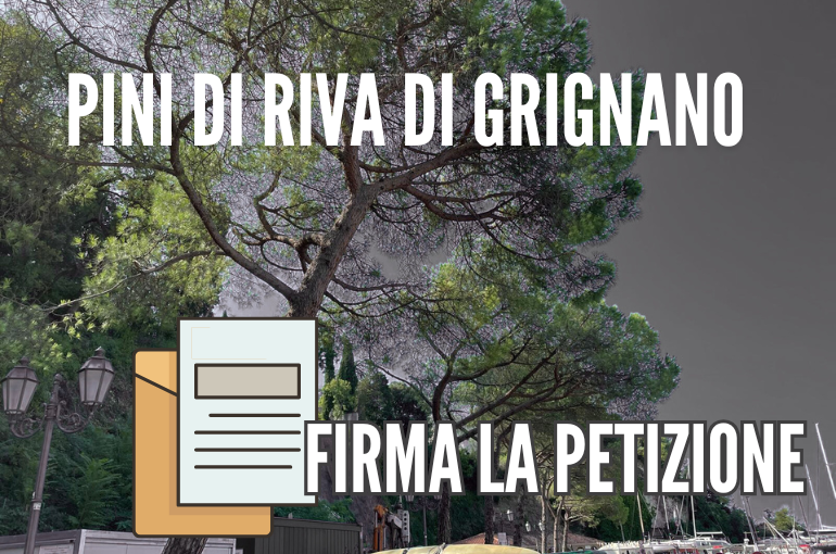 Il Circolo Legambiente Trieste vi invita a firmare la petizione per salvare i pini di Grignano