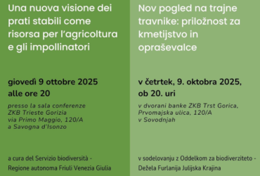 Una nuova visione dei prati stabili come risorsa per l’agricoltura e gli impollinatori