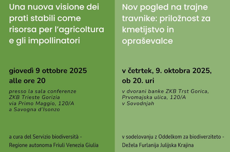 Una nuova visione dei prati stabili come risorsa per l’agricoltura e gli impollinatori