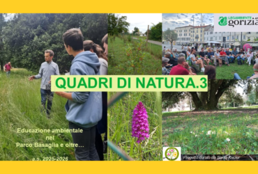 “Quadri di natura.3”: buone pratiche per le scuole a Gorizia