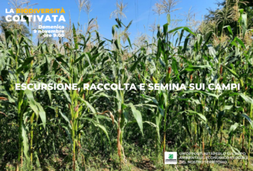 La biodiversità coltivata
