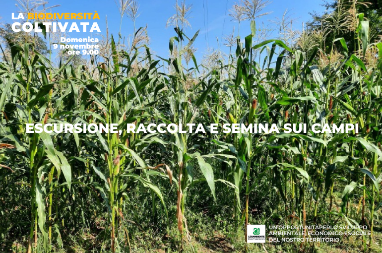 La biodiversità coltivata