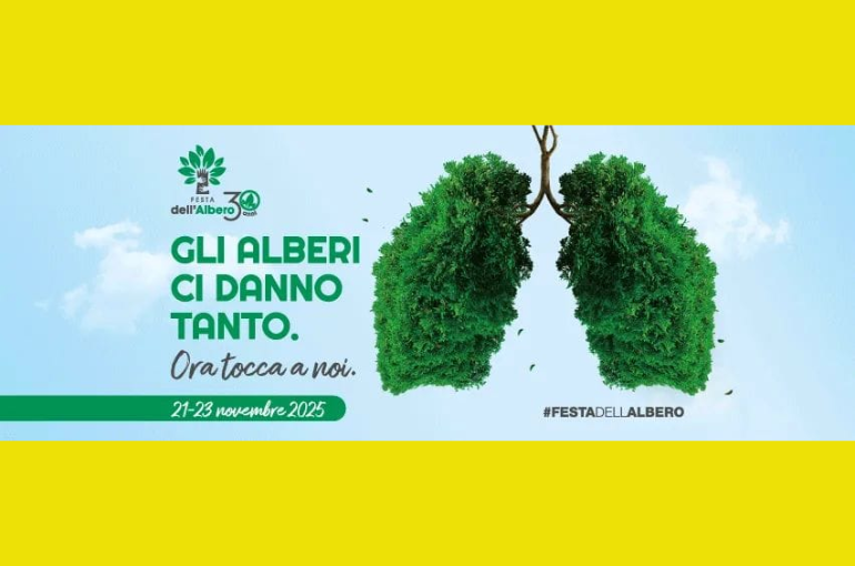 FESTA DELL’ALBERO 2025