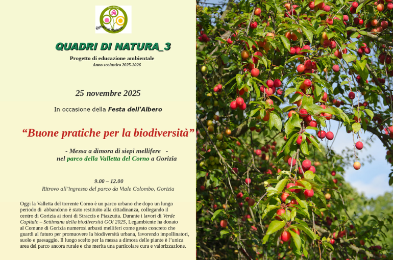 25 novembre 2025 – “Buone pratiche per la biodiversità in Valletta del Corno”
