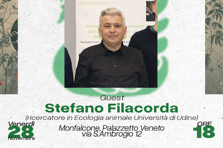 I Grandi Carnivori Tornano a Casa: Come Conviviamo con Lupo, Orso e Sciacallo Dorato?